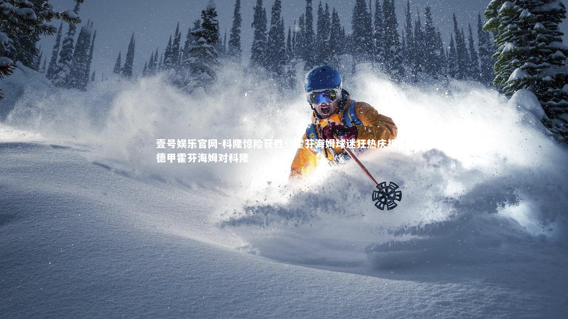 科隆惊险获胜！霍芬海姆球迷狂热庆祝！，德甲霍芬海姆对科隆