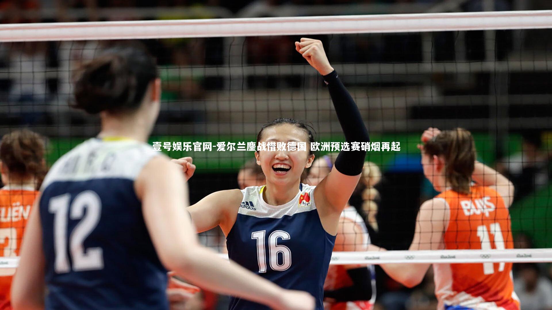 爱尔兰鏖战惜败德国 欧洲预选赛硝烟再起